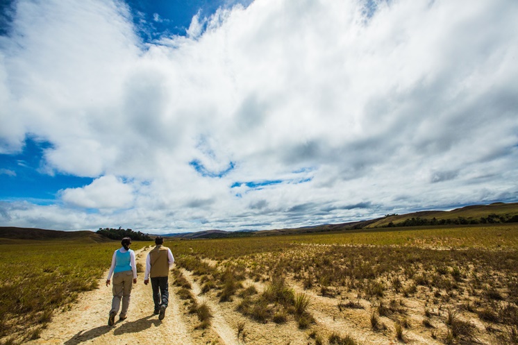 06 11 17 NO Roraima0102