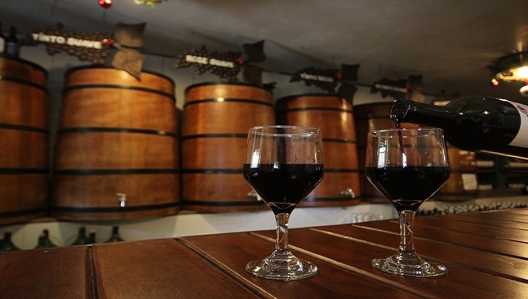 Vinícola. Serra Gaúcha. Foto: Embratur