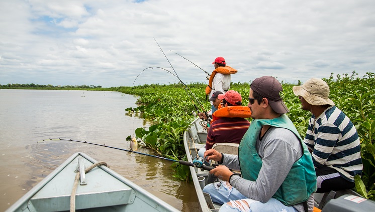 Um dos principais destinos do Pantanal, Corumbá espera aumento de 3% no número de visitantes em 2015. Crédito: banco de imagens 