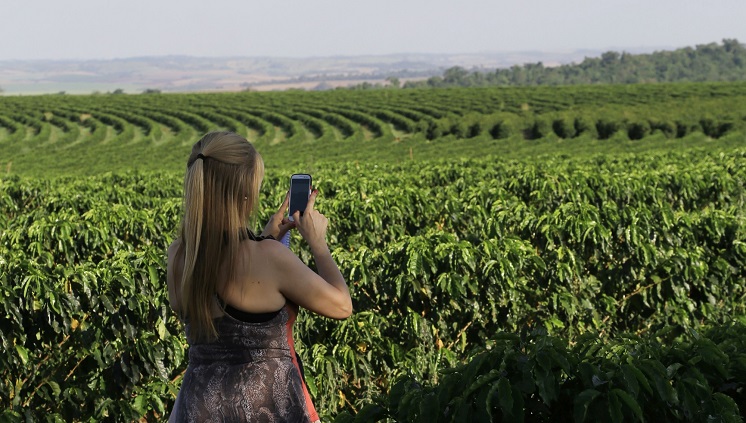 Fazenda Palmeira em Santa Mariana (PR). Foto: Divulgação