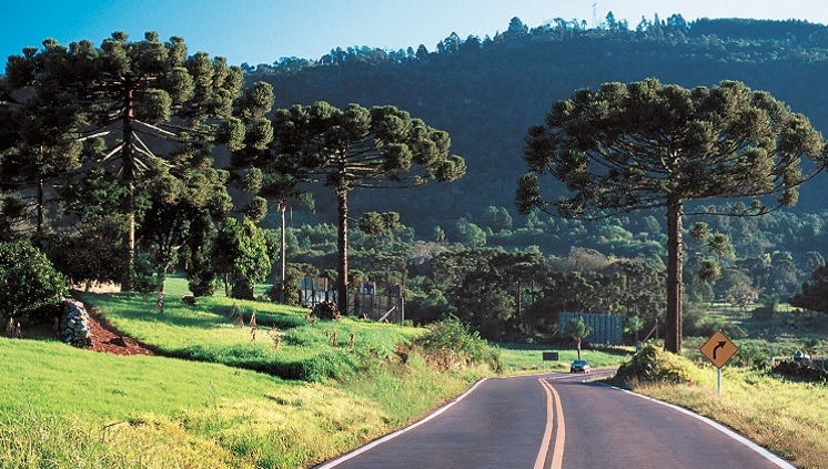 Gaúchos preferem se deslumbrar com belas paisagens naturais, como as da Estrada Nova de Petrópolis (RJ). Crédito: Leonid Streliaev