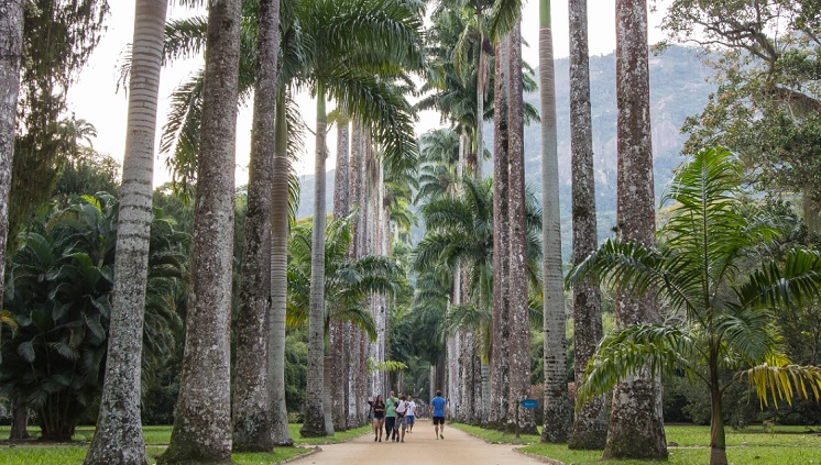 Jardim Botânico do Rio de Janeiro (RJ). Foto: Diego Campos Jardim Botânico do Rio de Janeiro (RJ). Foto: Diego Campos