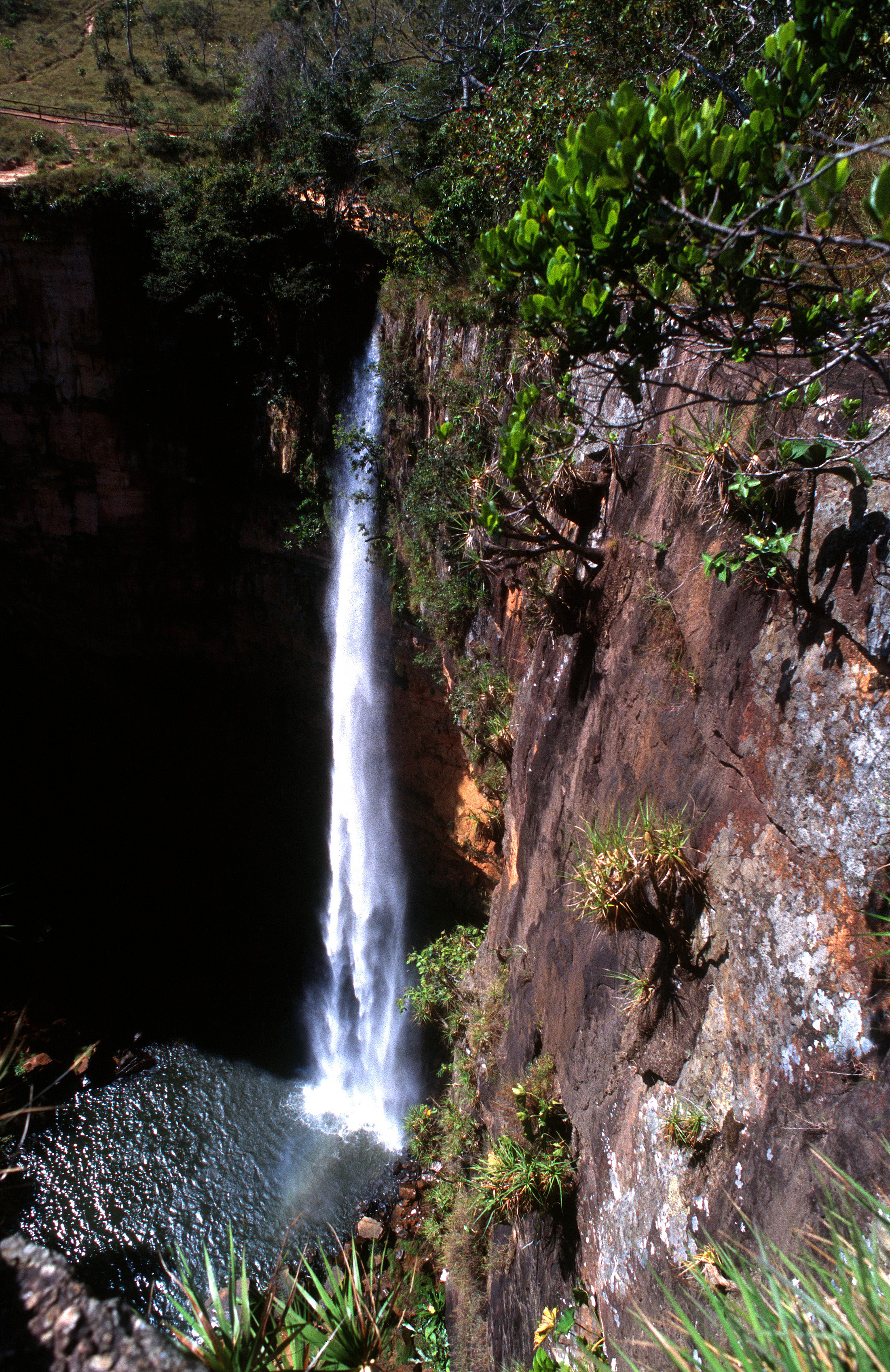 Mato Grosso