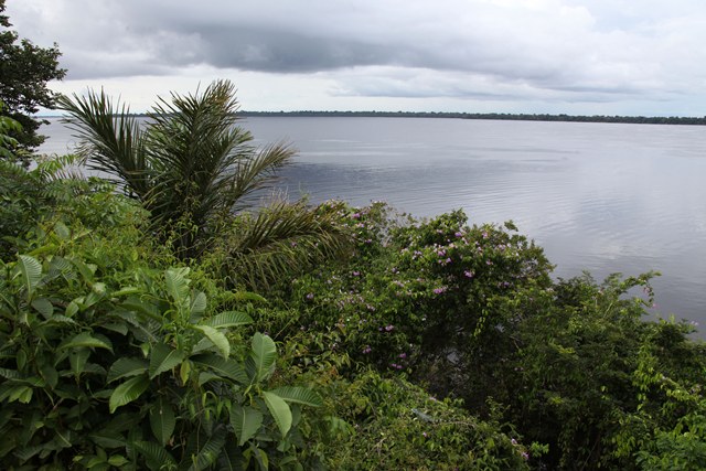 PARQUE MANAUS