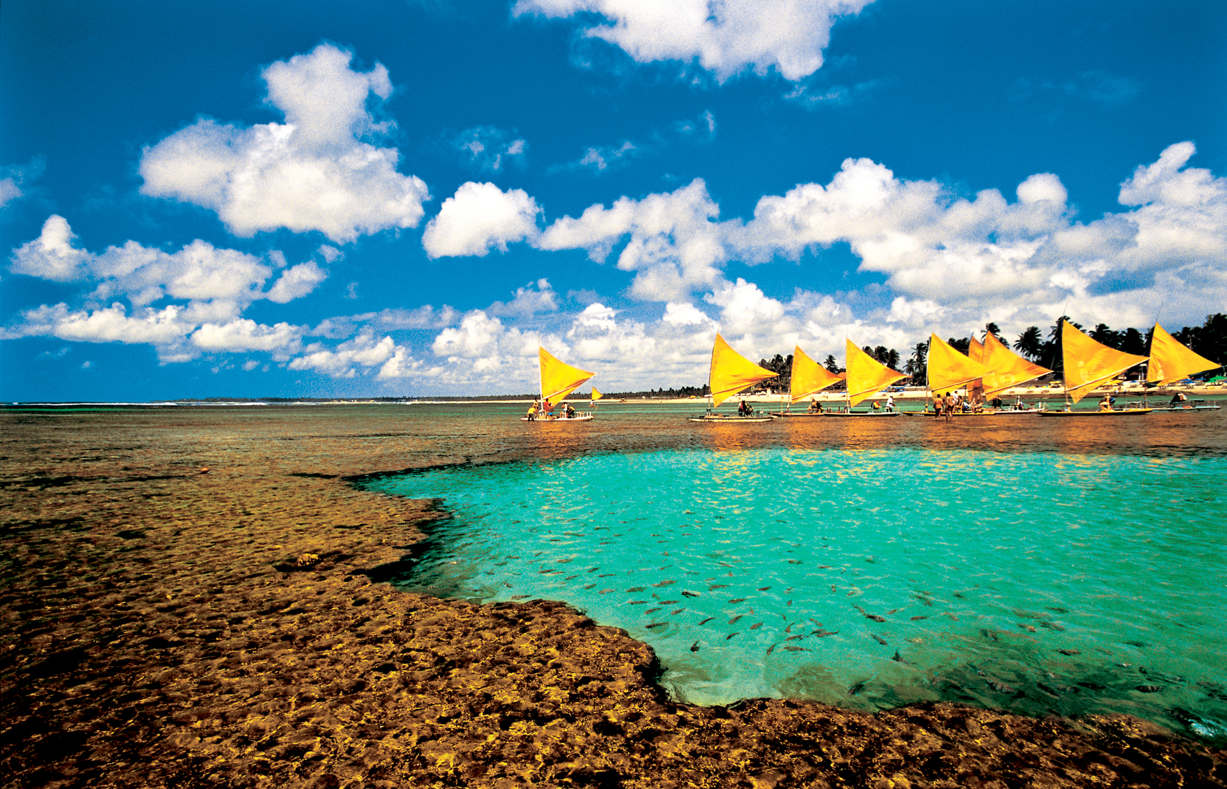 Porto de Galinhas (PE)