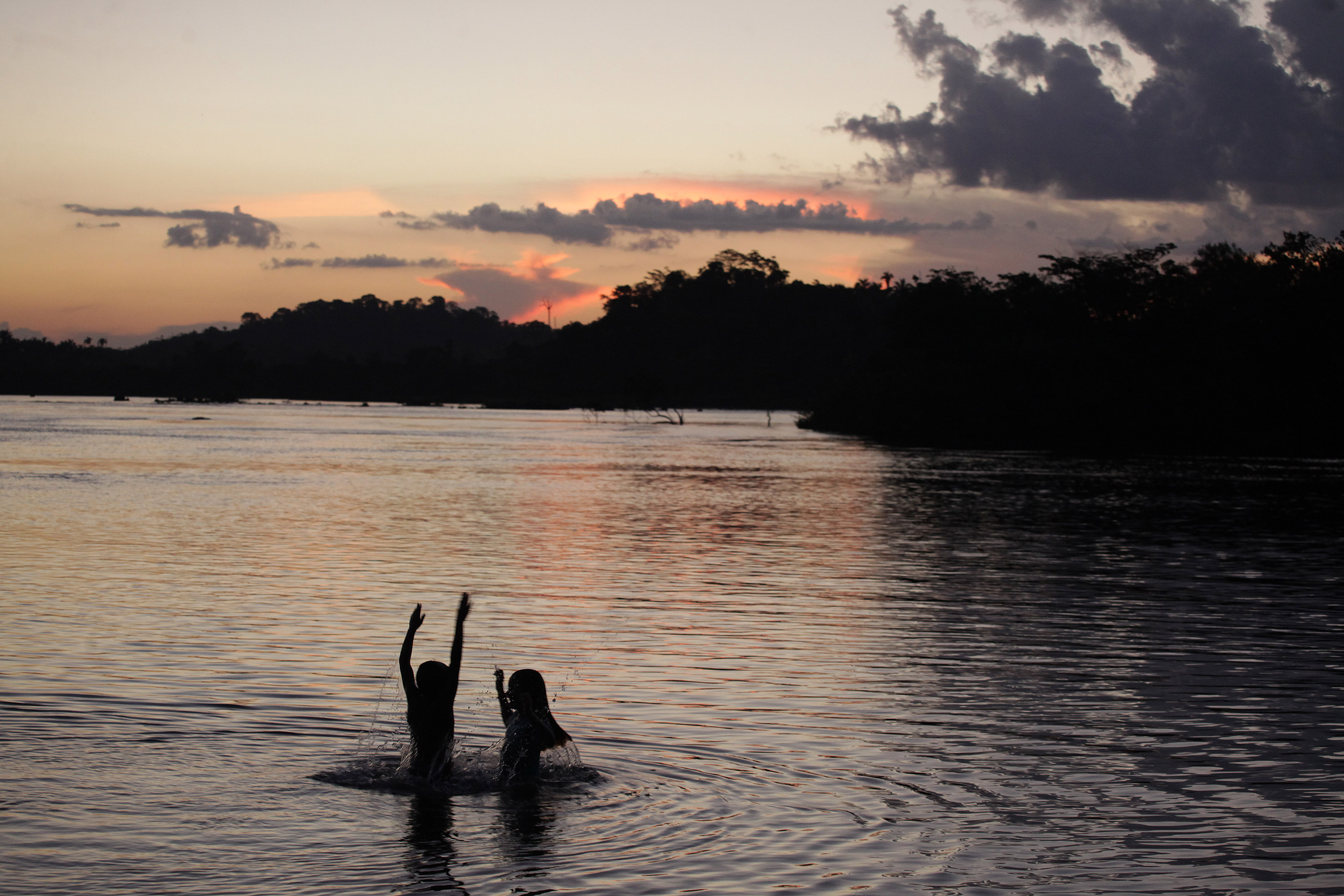 Dia da Amazônia