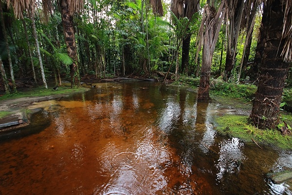 Tucorin, no coração da Amazônia.