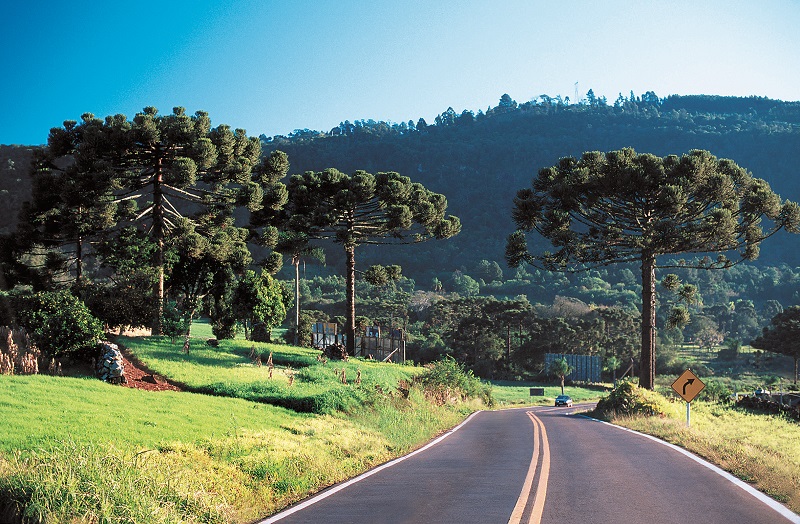 Estrada próxima à Nova Petrópolis-RS